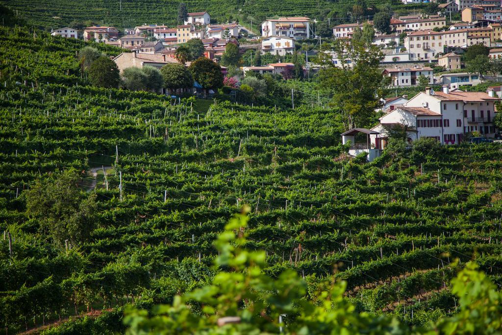 Agriturismo due Carpini Valdobbiadene Esterno foto