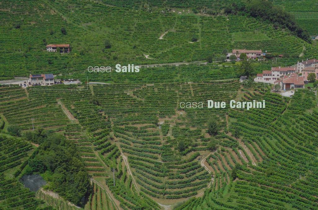 Agriturismo due Carpini Valdobbiadene Esterno foto